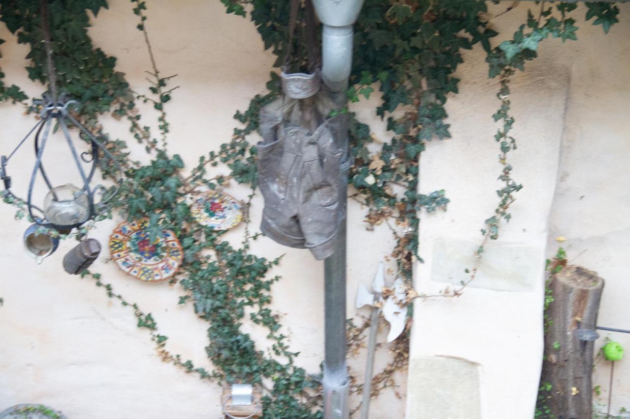 פירנה Ferienwohnung Schwemmer מראה חיצוני תמונה